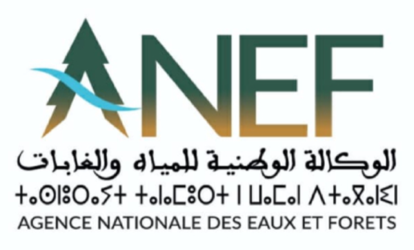 وكالة المياه والغابات