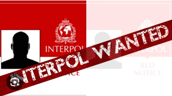 Screenshot_20250222_171459_Google