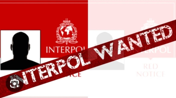 Screenshot_20250322_193552_Google