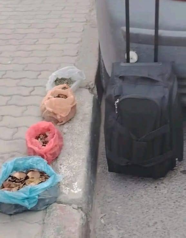 1f15a8a2-7ef9-489e-89d5-86e5d1caa076