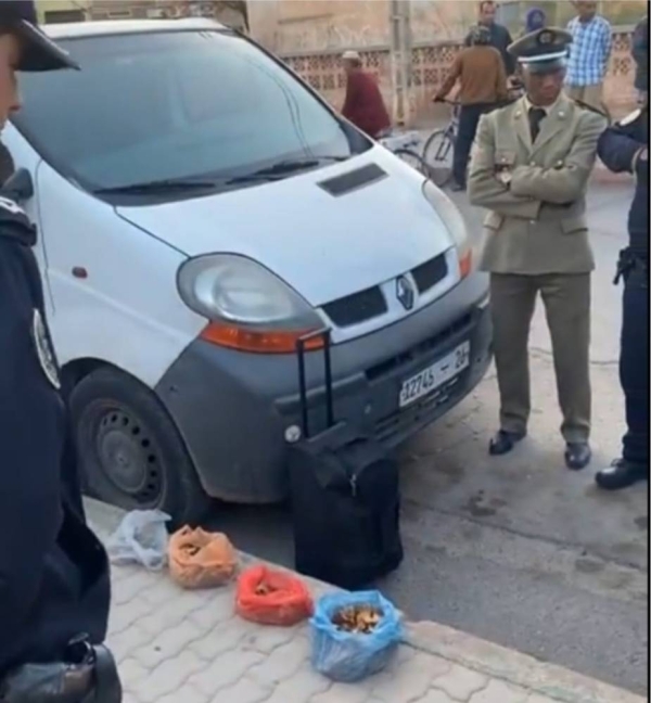 8fc897f0-2c42-43eb-bbd6-684e51fc310f