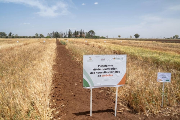 30e3f311-9631-4da7-a436-a00140b03ba8