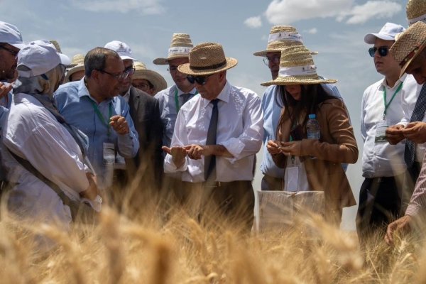 95509052-8805-4b8a-acbe-7209bcdbd95b