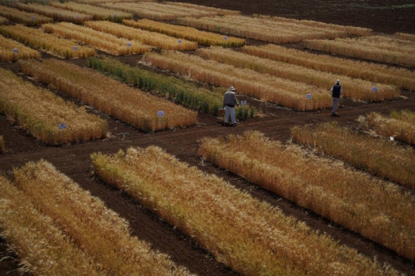 a6fab161-09bb-40f7-b634-f1136160f926