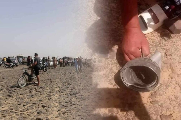 509779892_1230925781517602_6699220835722114943_n