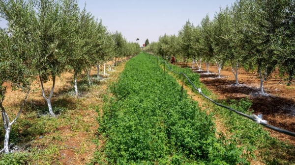 WhatsApp Image 2025-07-02 à 17.42.45_0f72cb34