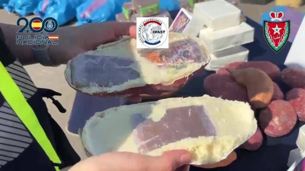 20250703_op_san_pedro_PN_03.jpg_991593706