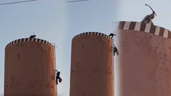 IMG-20250712-WA0003-1024x576