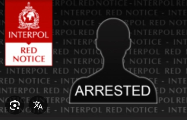 Screenshot_20251008_222855_Google