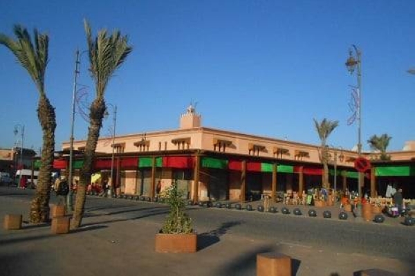 برنامج (مراكش الحاضرة المتجددة)