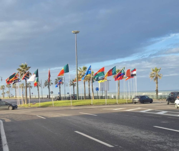 كأس افريقيا