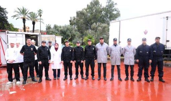 Nouveau-projet539-508x300