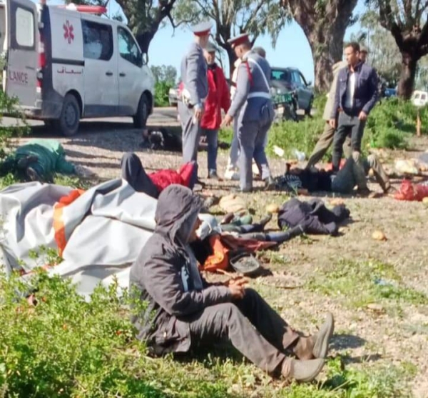 WhatsApp Image 2026-03-11 at 23.02.13