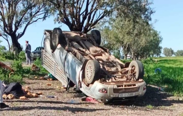 WhatsApp Image 2026-03-11 at 23.02.13 (1)