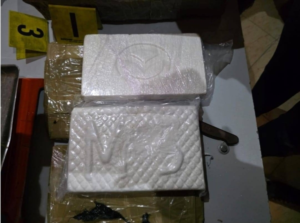 PHOTO-2026-03-16-15-55-58 2