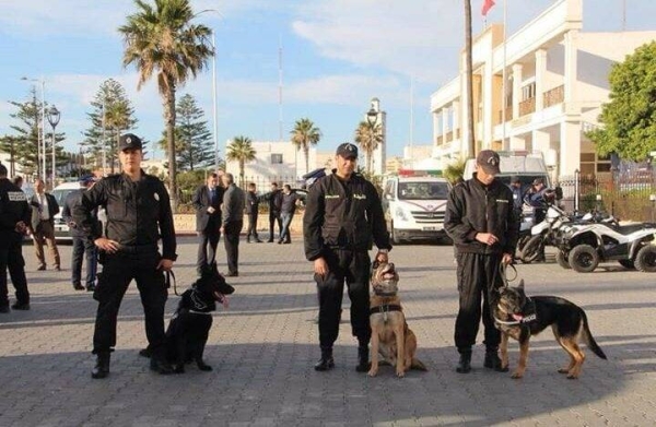 IMG-20190213-WA0015-720x470