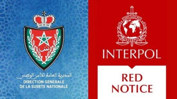 شرطة،-أمن-وطني،-انتربول-550x309-1