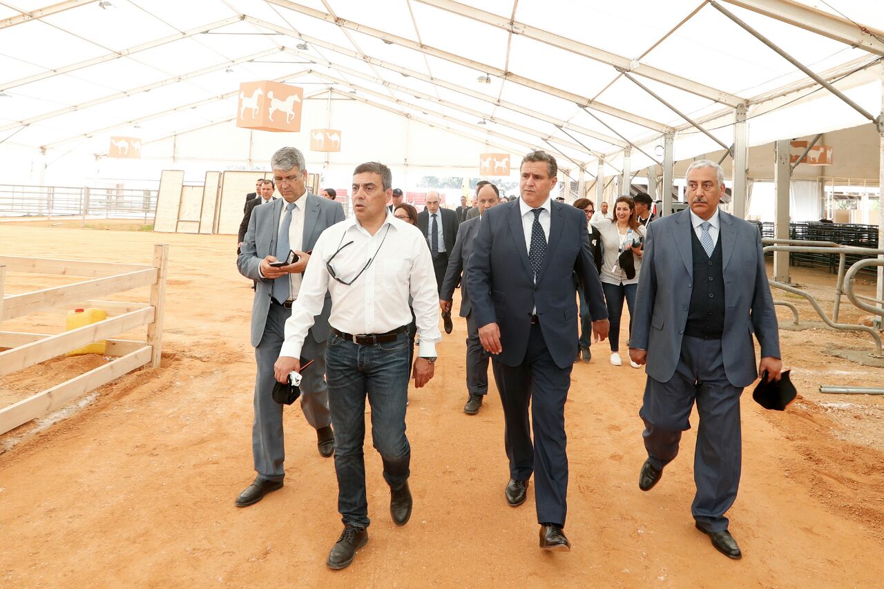 932d7712-c157-4d2d-b6f5-38bf5aad98b8