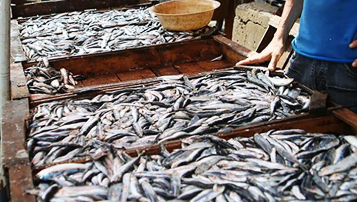 59849b2a6576f900878923_439123596