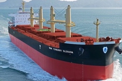 maroc_sheep_989912148