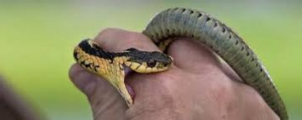 29497942362409492384