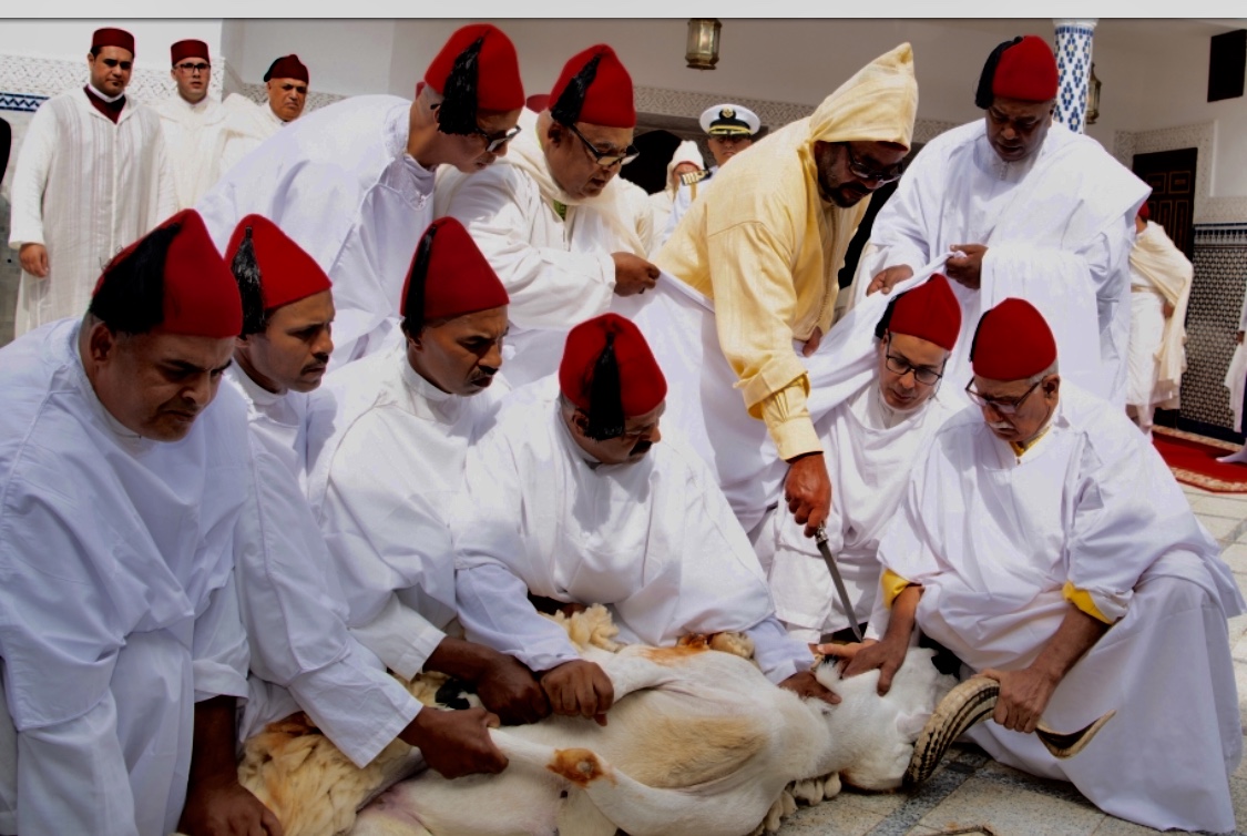 72887DCD-31AF-4746-AC74-67319C47E0C5