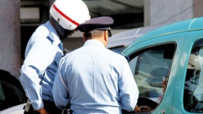 chortimorour16_895665575