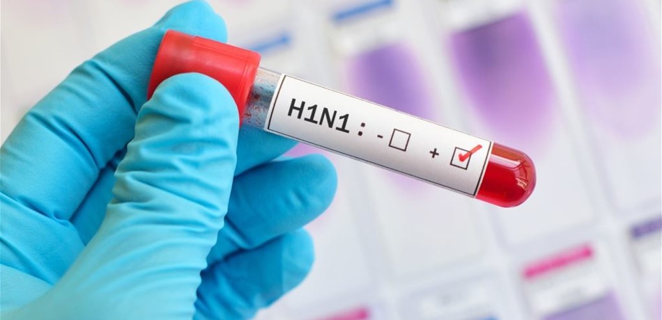 Doc-P-446969-6367056398222881681280x960