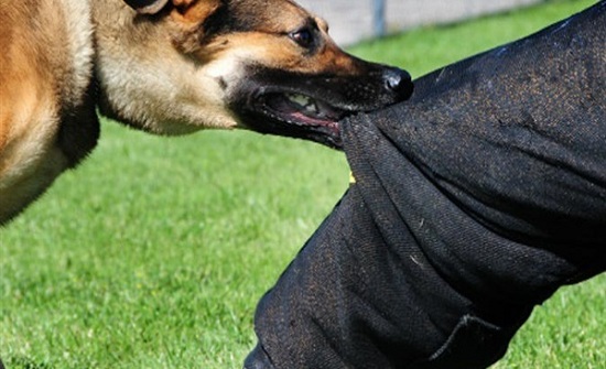 1234ab659c806fb68f12597c1871cd3a