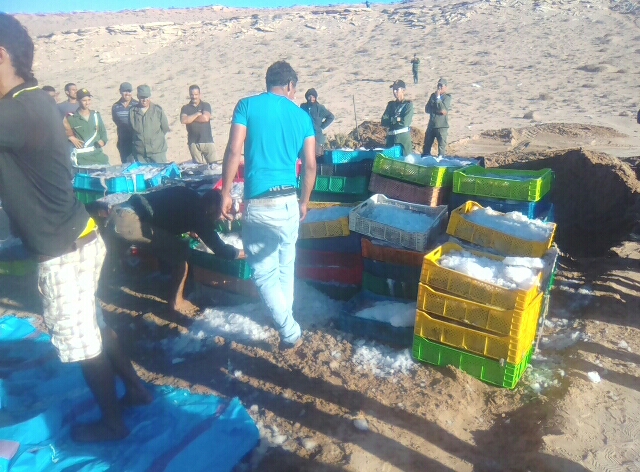 WhatsApp Image 2018-10-12 at 10.45.46