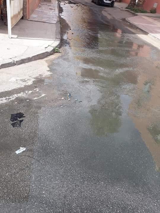 WhatsApp Image 2018-10-16 at 19.55.06