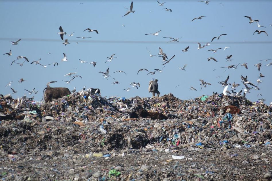 CaLLKIHBBYTGHGGFTTTpture