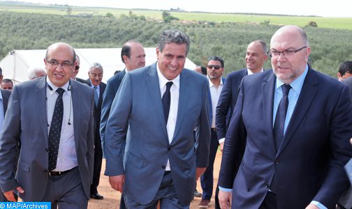 akhannouch-archive-504x300