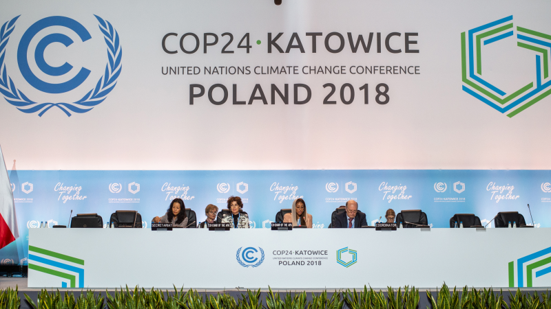 COP24-800x450