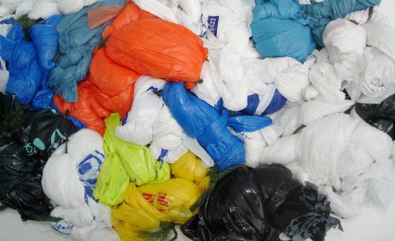 plastic-bags-557x340