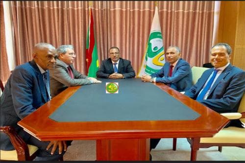 50626210_805884516422642_6443356653818478592_n