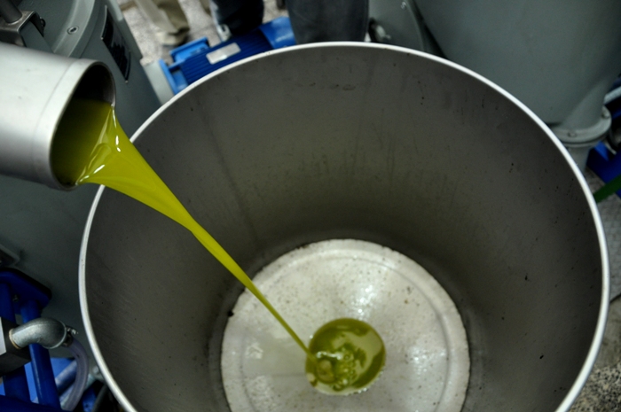 5fa0eb49fae674ca61d5165de973c831