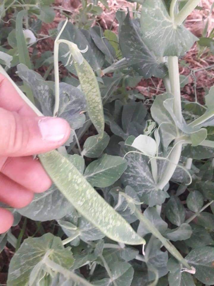 CA7C8FF6-C15D-473E-A449-F59A34A0C517