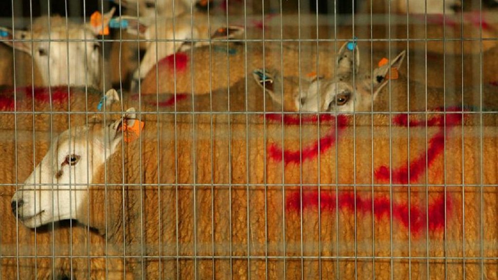 rtr17z5b_layout_comp