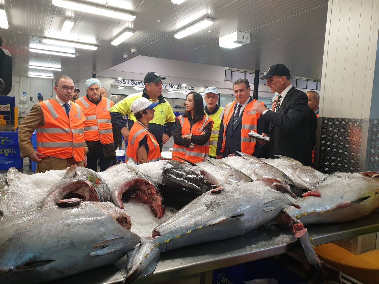 383CADAE-2C52-4303-A59E-876B98B4E657