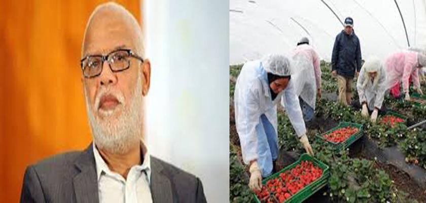 466536ec02984f21ee95033e57199006