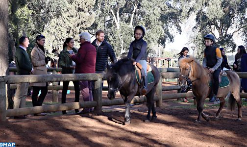 Prince-Harry-1-504x300