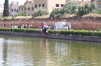 d6ca24a76b56ea4c17a322be91ff7df9_350