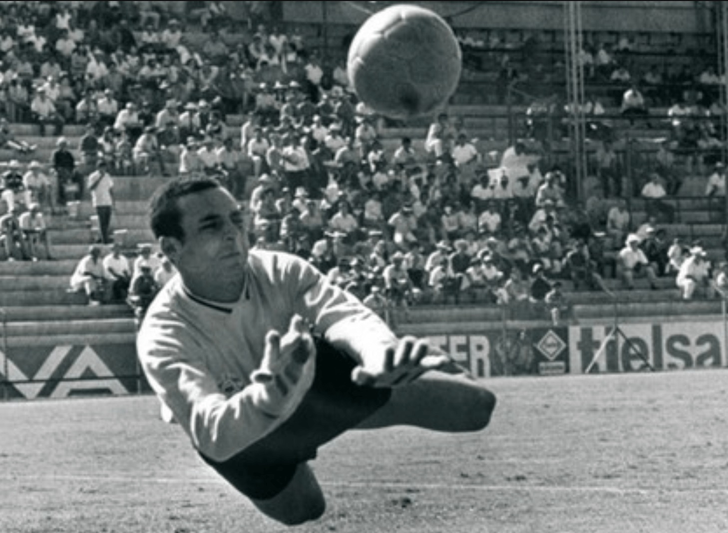 hamid-hazzaz-grande-photo