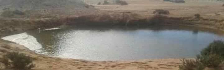 53259836_2069274623142032_3939811249088364544_n