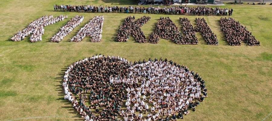 54428413_10157316988534268_1124839947568676864_n-900x400