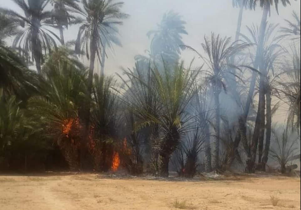 55470376_2358898884171631_3834828483003940864_n