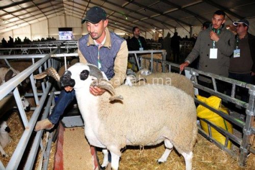 7A85D9F5-E35C-4537-B4A5-0942B0718DCE