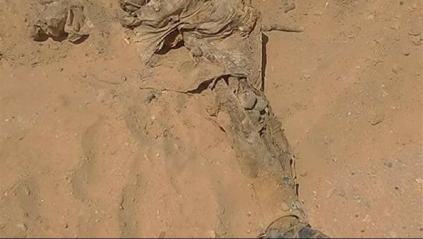 a0c355f79441e43575bd17cc939ff3b5