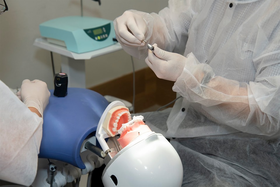 59551425_1114989128680540_6126954728178843648_n